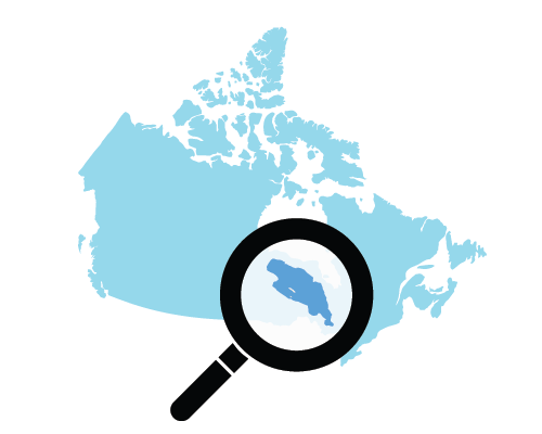 Search Icon